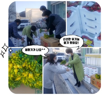 봄향기가 나요^^ 신선한 유기농 딸기 왔어요! 공동판매 및 구매 사진